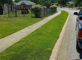 Jason P.'s Lawn Mowing service result