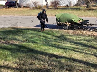 Leaf Removal by Roosevelt Williams for Tehmen W. in Minneapolis, MN