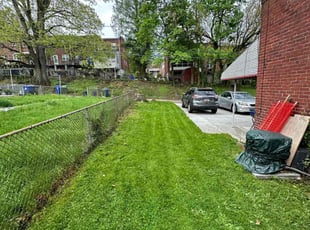 Romauni B.'s Lawn Mowing service result