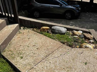 Landscaping by Jacob Russi for Meghan P. in Lee's Summit, MO