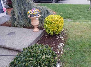 Weeding by Jeff Cole for Joe R. in Puyallup, WA