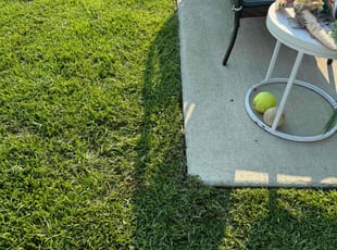 Stephany G.'s Lawn Mowing service result