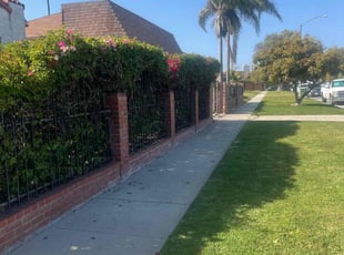 Bush Trimming by William Mendoza for Beverly C. in Los Angeles, CA