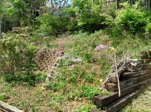 Landscaping by Jody Baliles for Lara L. in Knoxville, TN