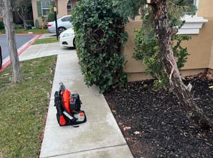 Bush Trimming by Juan Martinez for Hali W. in Lathrop, CA