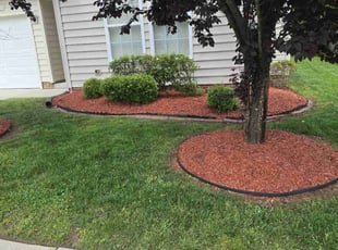 Bush Trimming by Mayra Seliceo for Arley W. in durham, nc