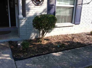Lauren M.'s Bush Trimming service result
