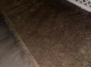 Weeding by Joe Buckley for Corinna W. in Chesapeake, VA