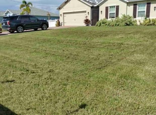 Bush Trimming by Dana Molina for Nick M. in Cape Coral, FL