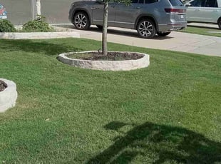 Rachel L.'s Lawn Mowing Service service result