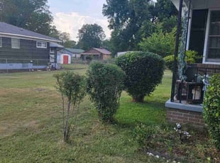 Bush Trimming by Douglas McClelland for Chanti C. in Birmingham, AL