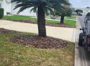 Bush Trimming by Robert Nelams for Peggy L. in Leesburg, FL
