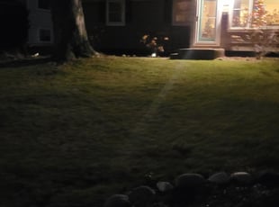 Leaf Removal by Kyle Anderson for Andrea W. in Minneapolis, MN