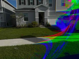 Alejandro P.'s Lawn Maintenance service result
