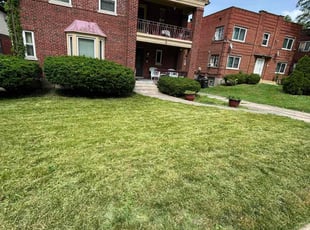 Bush Trimming by Jerrann Wright for James P. in Cincinnati, OH