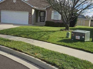 Tim H.'s Yard Cutting service result
