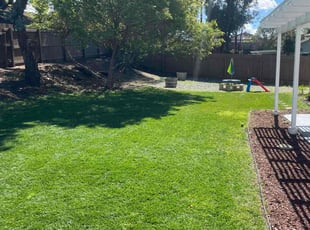 Kerry O.'s Lawn Care service result