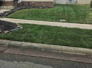 Jake K.'s Lawn Mowing service result