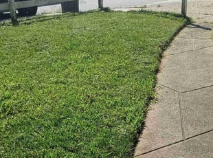 Elsie B.'s Grass Cutting service result