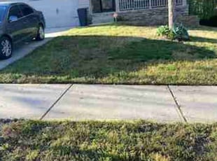 Amber M.'s Lawn Service service result