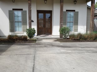 Bush Trimming by Steven Banes for Chris P. in Prairieville, LA