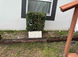 Bush Trimming by Feliciano Perez for Bill D. in Tampa, FL