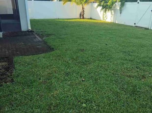 Tracie C.'s Lawn Service service result