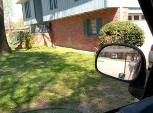 Bush Trimming by Ty Walter for Angela F. in Greenville, SC