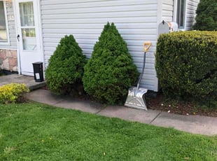 Bush Trimming by Stephon Gaines for John M. in Mount Clemens, MI