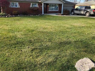 Leaf Removal by Korey Hart for Jonathan J. in Harrison Township, MI