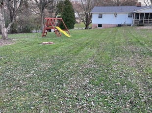 Mulching by Chai Vue for Zachary M. in Massillon, OH