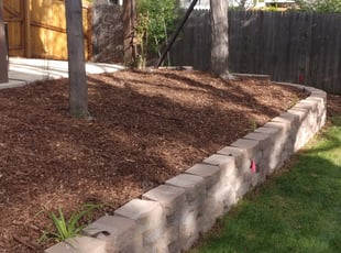 Cleanups by Gregory Lillibridge for Mark B. in Centennial, CO