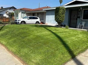 Jay N.'s Lawn Mowing service result