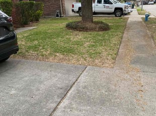 Leaf Removal by DeAndre Lamb for Gary D. in Humble, TX