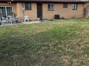 Leaf Removal by Roy Edwards for Linda B. in Indianapolis, IN