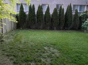 Bush Trimming by Nick Jefferson for Tim B. in Milwaukee, WI
