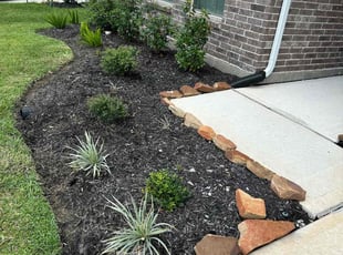 Weeding by Stephen Morales for Arielle L. in Rosharon, TX