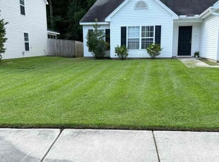 Asha W.'s Lawn Care service result