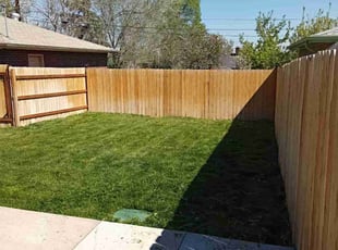 Cleanups by Tom Davis for Melanie H. in Denver, CO