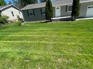 Sheri F.'s Grass Cutting service result