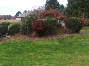 Bush Trimming by Jeffrey Preece for Laura E. in Brush Prairie, WA