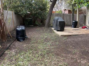Leaf Removal by Joseph Sullivan for Julian G. in San Antonio, TX