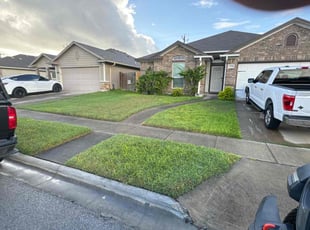 Nilza L.'s Lawn Mowing service result