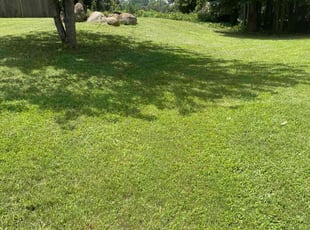 Dan L.'s Lawn Care service result