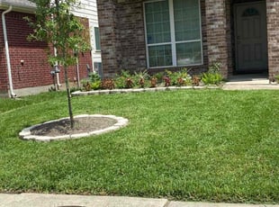 Donald S.'s Lawn Service service result