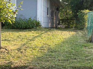Barbara S.'s Lawn Care service result