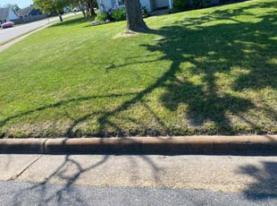 Rosa G.'s Lawn Care service result