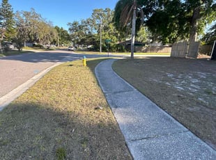 Cleanups by Ramon Taguja for Betsy l. in Brandon, FL