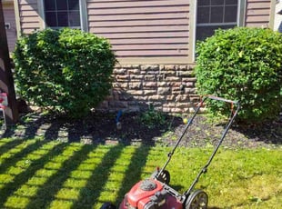 Bush Trimming by Rayshawn Martin for Maria S. in Cleveland, OH