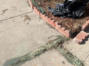 Weeding by Lance Holtman for Kevin S. in Yukon, OK